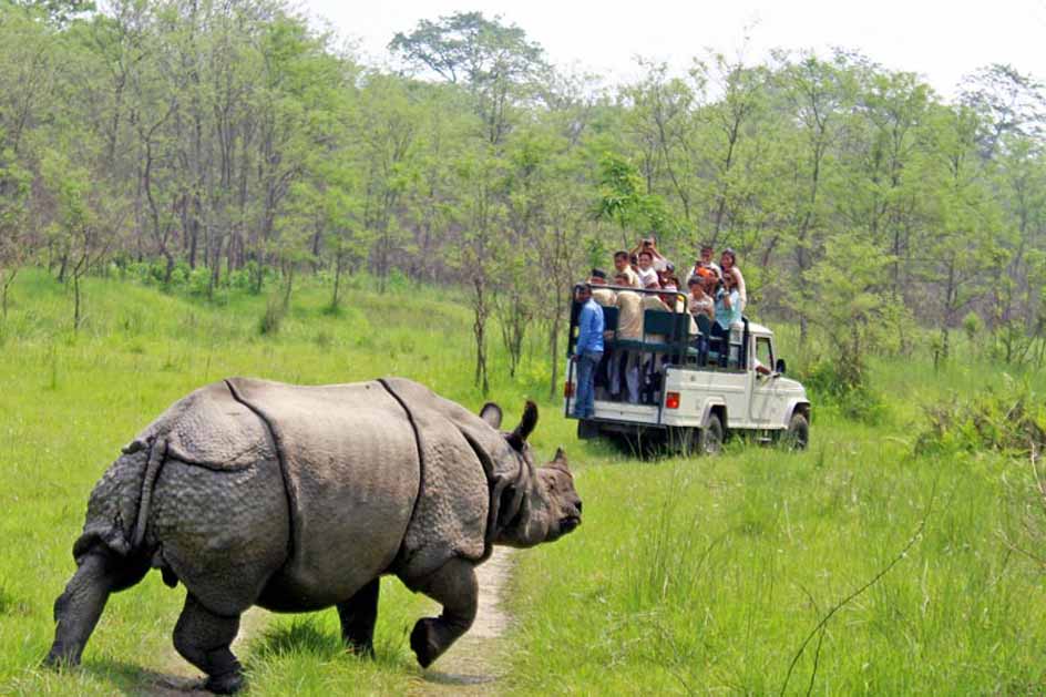 बेमौसममा पनि सौराहा पर्यटकमय, होटल व्यवसायी उत्साहित